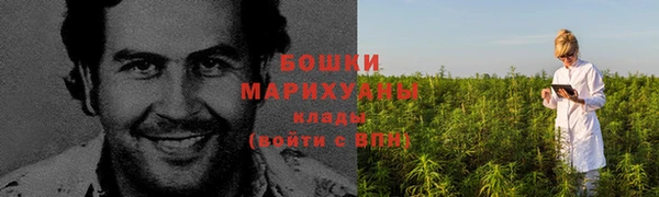 PSILOCYBIN Лабытнанги