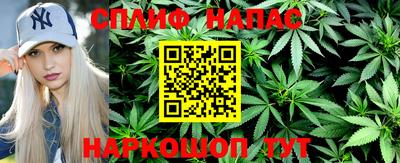 ешки Гай