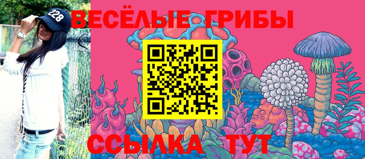 Псилоцибиновые грибы GOLDEN TEACHER Кириши