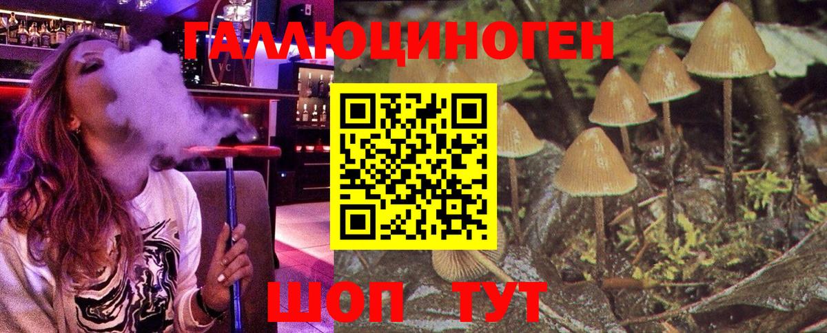 ГЕРОИН Кириши